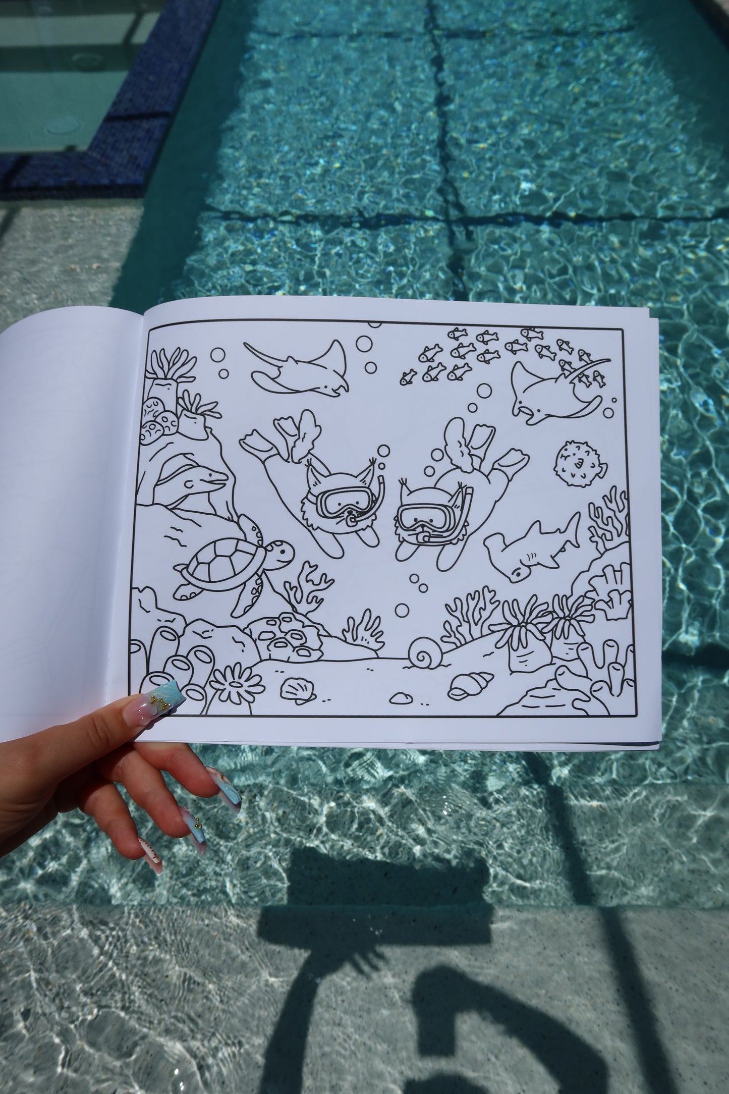 Purrfect Buddies Summer Adventures *COMING SOON*
